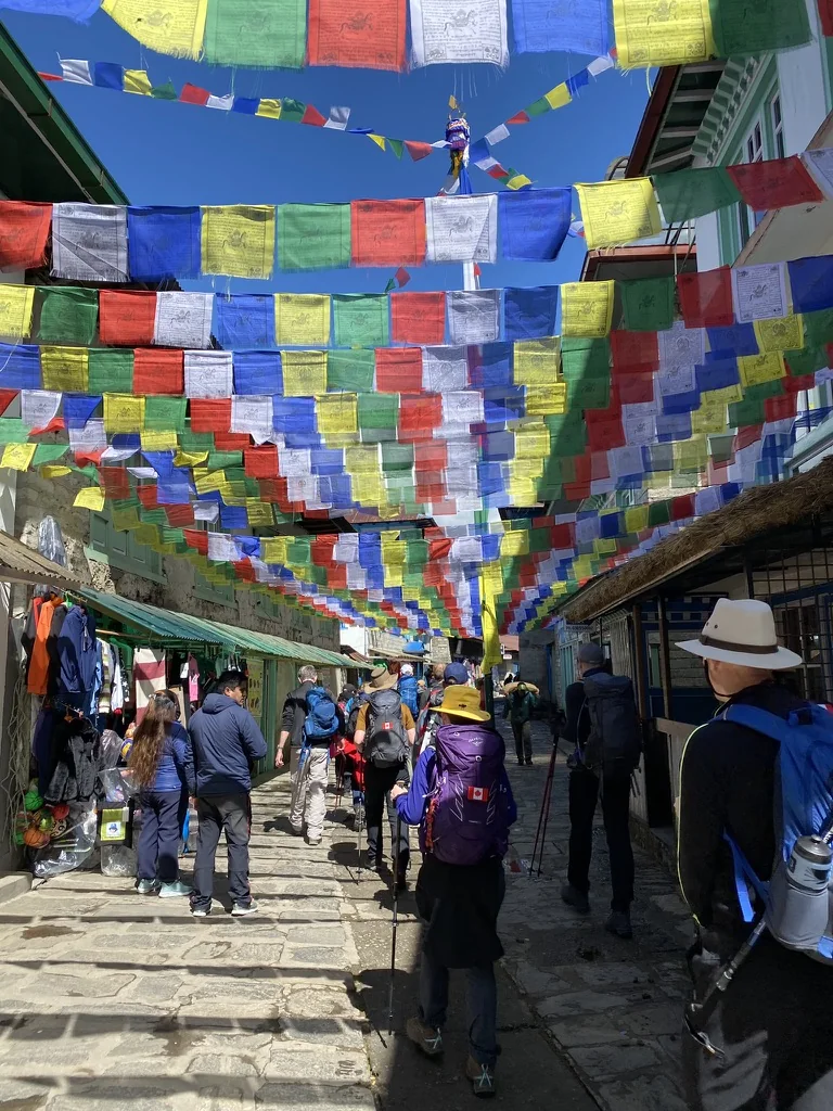 A Nepal trekking route lined with colourful prayer flags.